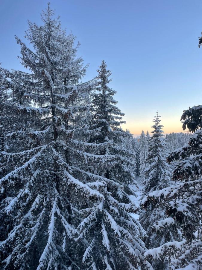 Woodside Apartment 431, Kopaonik - One Separate Bedroom 35M2- Free Parking & Spa Eksteriør bilde