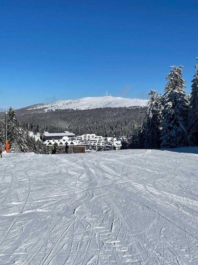 Woodside Apartment 431, Kopaonik - One Separate Bedroom 35M2- Free Parking & Spa Eksteriør bilde
